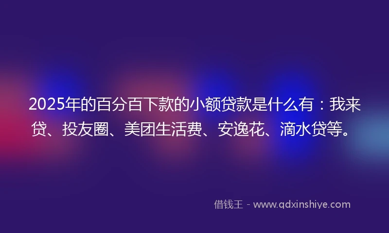2025年的百分百下款的小额贷款是什么有：我来贷、投友圈、美团生活费、安逸花、滴水贷等。