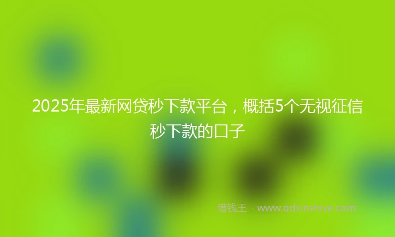 2025年最新网贷秒下款平台，概括5个无视征信秒下款的口子