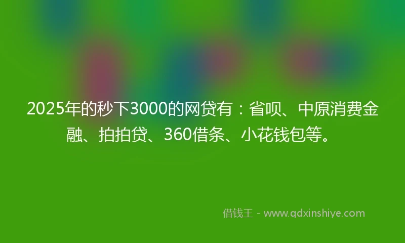 2025年的秒下3000的网贷有：省呗、中原消费金融、拍拍贷、360借条、小花钱包等。