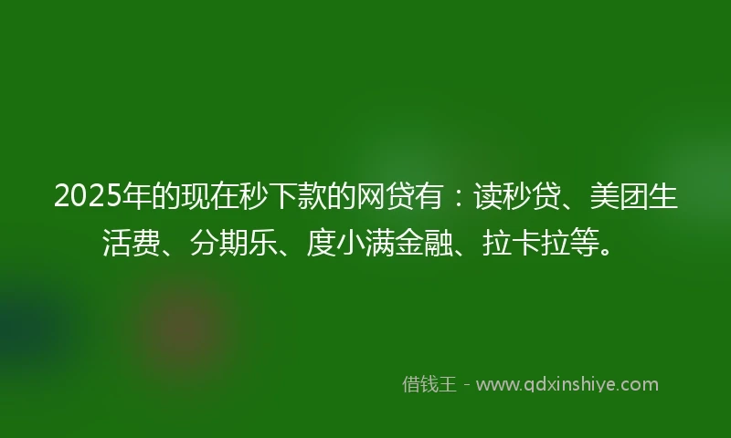 2025年的现在秒下款的网贷有：读秒贷、美团生活费、分期乐、度小满金融、拉卡拉等。