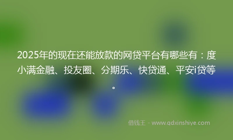 2025年的现在还能放款的网贷平台有哪些有：度小满金融、投友圈、分期乐、快贷通、平安i贷等。