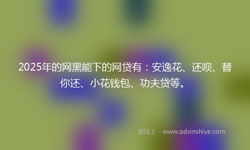 2025年的网黑能下的网贷有：安逸花、还呗、替你还、小花钱包、功夫贷等。