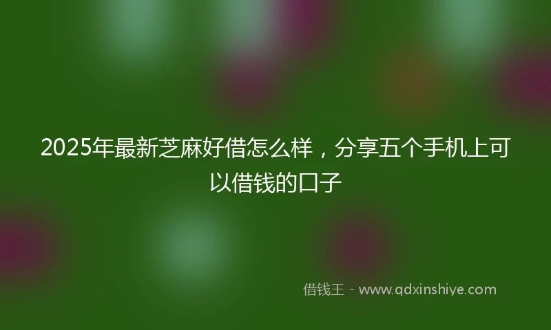 2025年最新芝麻好借怎么样，分享五个手机上可以借钱的口子