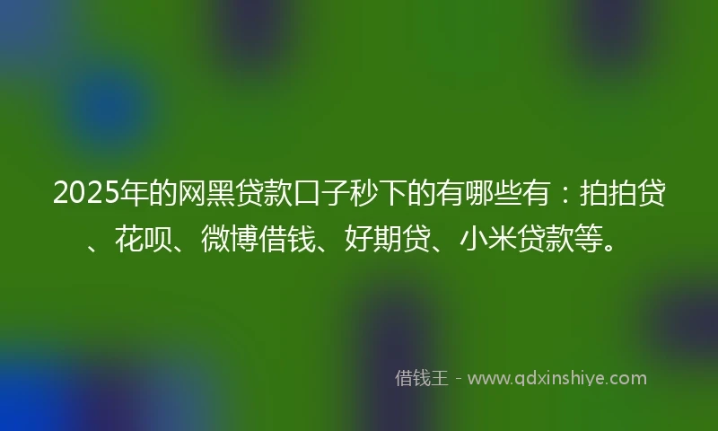 2025年的网黑贷款口子秒下的有哪些有：拍拍贷、花呗、微博借钱、好期贷、小米贷款等。