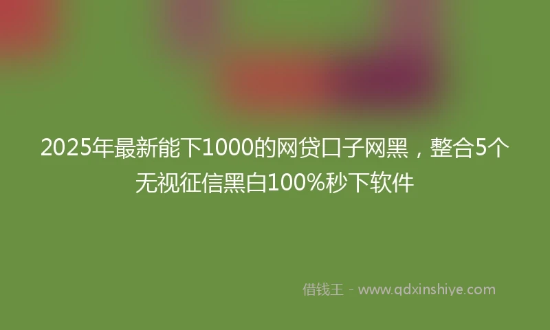 2025年最新能下1000的网贷口子网黑，整合5个无视征信黑白100%秒下软件