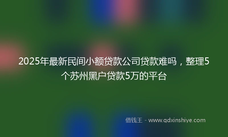 2025年最新民间小额贷款公司贷款难吗，整理5个苏州黑户贷款5万的平台