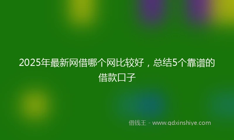 2025年最新网借哪个网比较好，总结5个靠谱的借款口子