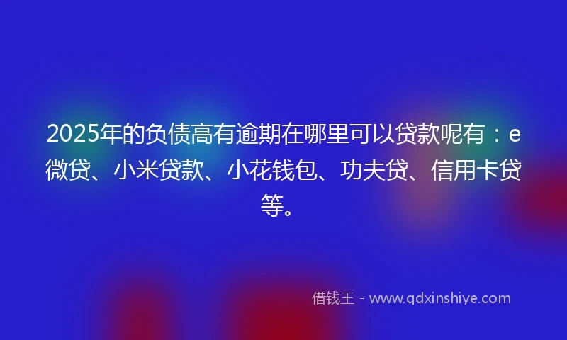 2025年的负债高有逾期在哪里可以贷款呢有：e微贷、小米贷款、小花钱包、功夫贷、信用卡贷等。