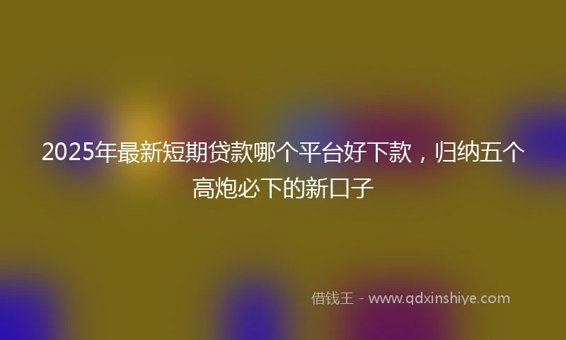 2025年最新短期贷款哪个平台好下款，归纳五个高炮必下的新口子