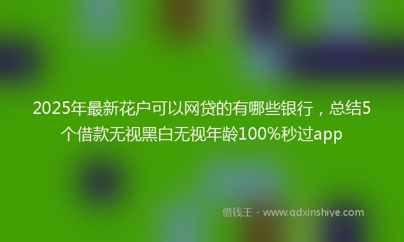 2025年最新花户可以网贷的有哪些银行，总结5个借款无视黑白无视年龄100%秒过app