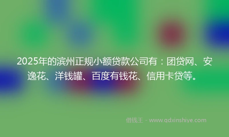 2025年的滨州正规小额贷款公司有：团贷网、安逸花、洋钱罐、百度有钱花、信用卡贷等。