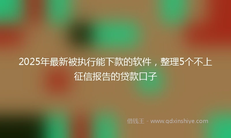 2025年最新被执行能下款的软件,整理5个不上征信报告的贷款口子