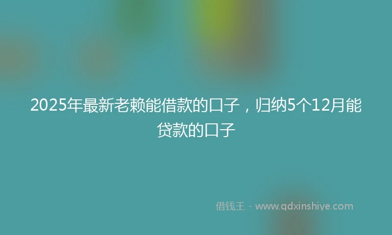 2025年最新老赖能借款的口子，归纳5个12月能贷款的口子