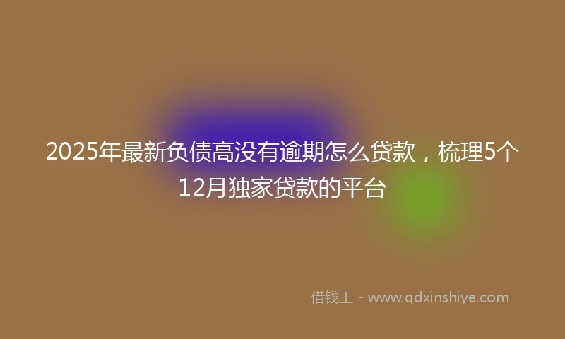 2025年最新负债高没有逾期怎么贷款，梳理5个12月独家贷款的平台