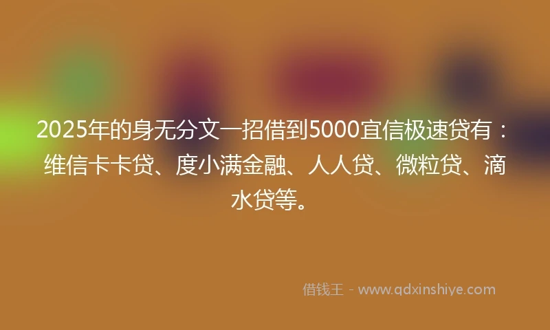 2025年的身无分文一招借到5000宜信极速贷有：维信卡卡贷、度小满金融、人人贷、微粒贷、滴水贷等。