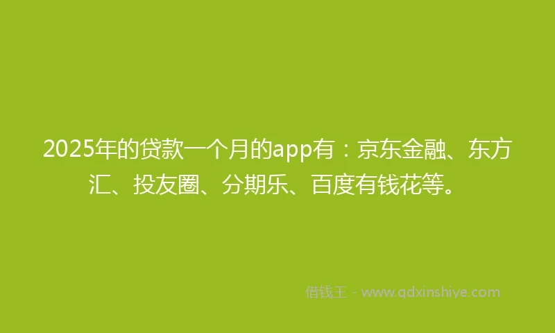 2025年的贷款一个月的app有：京东金融、东方汇、投友圈、分期乐、百度有钱花等。
