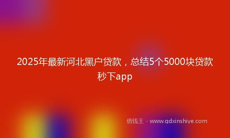 2025年最新河北黑户贷款，总结5个5000块贷款秒下app