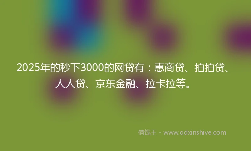 2025年的秒下3000的网贷有：惠商贷、拍拍贷、人人贷、京东金融、拉卡拉等。