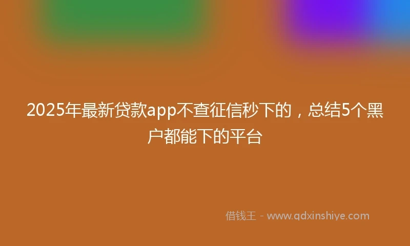 2025年最新贷款app不查征信秒下的，总结5个黑户都能下的平台