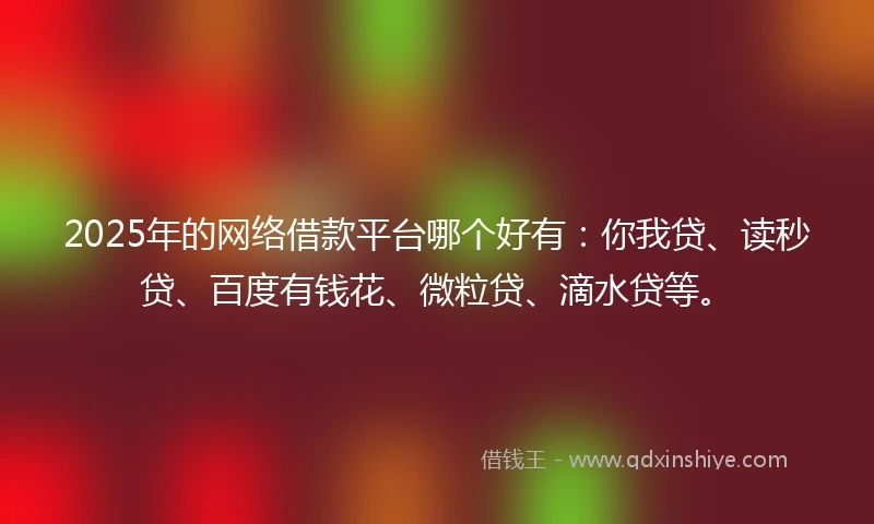 2025年的网络借款平台哪个好有：你我贷、读秒贷、百度有钱花、微粒贷、滴水贷等。