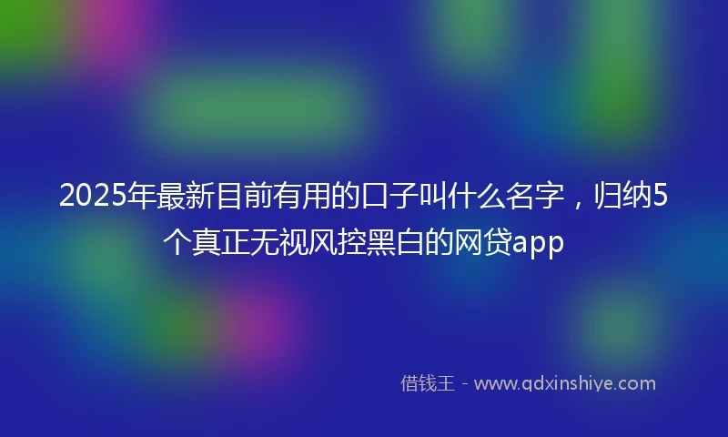 2025年最新目前有用的口子叫什么名字，归纳5个真正无视风控黑白的网贷app