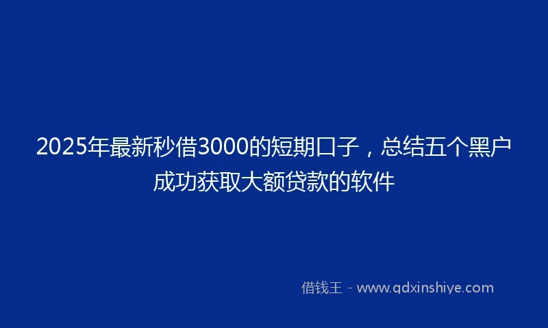 2025年最新秒借3000的短期口子，总结五个黑户成功获取大额贷款的软件