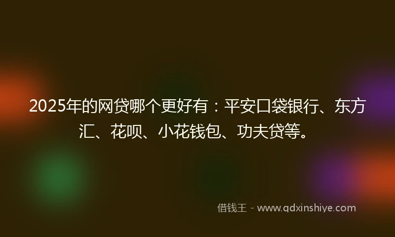 2025年的网贷哪个更好有：平安口袋银行、东方汇、花呗、小花钱包、功夫贷等。