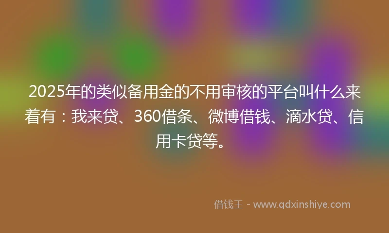 2025年的类似备用金的不用审核的平台叫什么来着有：我来贷、360借条、微博借钱、滴水贷、信用卡贷等。