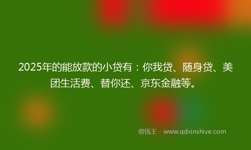 2025年的能放款的小贷有：你我贷、随身贷、美团生活费、替你还、京东金融等。