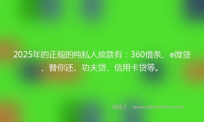 2025年的正规的纯私人放款有：360借条、e微贷、替你还、功夫贷、信用卡贷等。
