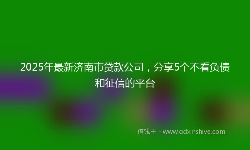 2025年最新济南市贷款公司，分享5个不看负债和征信的平台