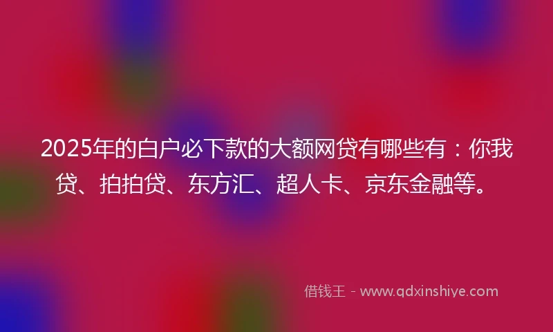2025年的白户必下款的大额网贷有哪些有：你我贷、拍拍贷、东方汇、超人卡、京东金融等。