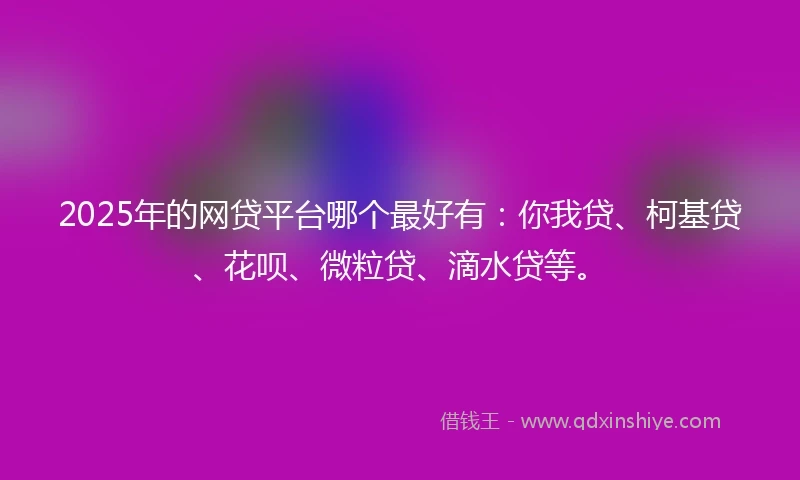 2025年的网贷平台哪个最好有：你我贷、柯基贷、花呗、微粒贷、滴水贷等。