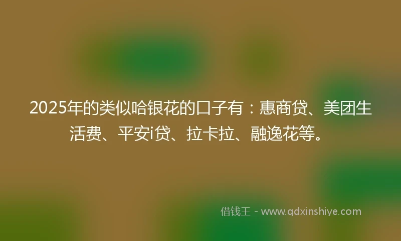 2025年的类似哈银花的口子有：惠商贷、美团生活费、平安i贷、拉卡拉、融逸花等。