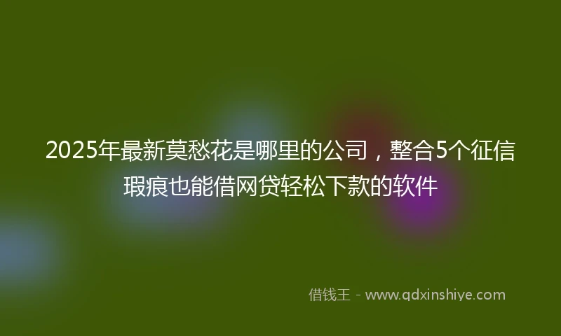 2025年最新莫愁花是哪里的公司，整合5个征信瑕疵也能借网贷轻松下款的软件