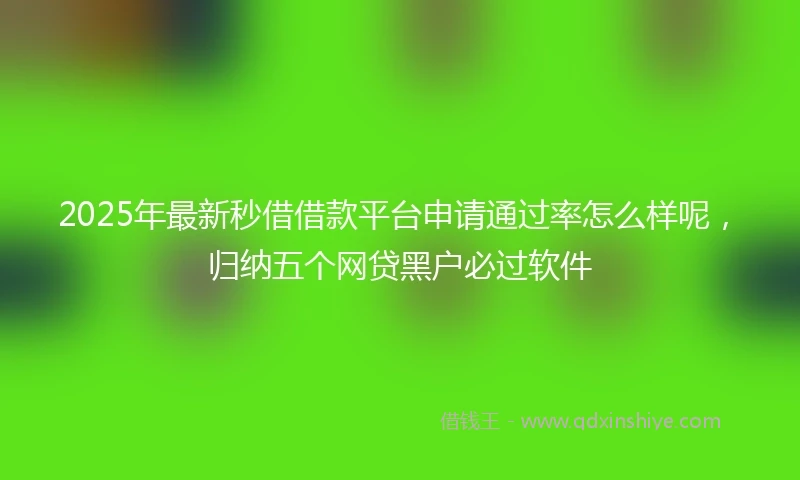 2025年最新秒借借款平台申请通过率怎么样呢，归纳五个网贷黑户必过软件