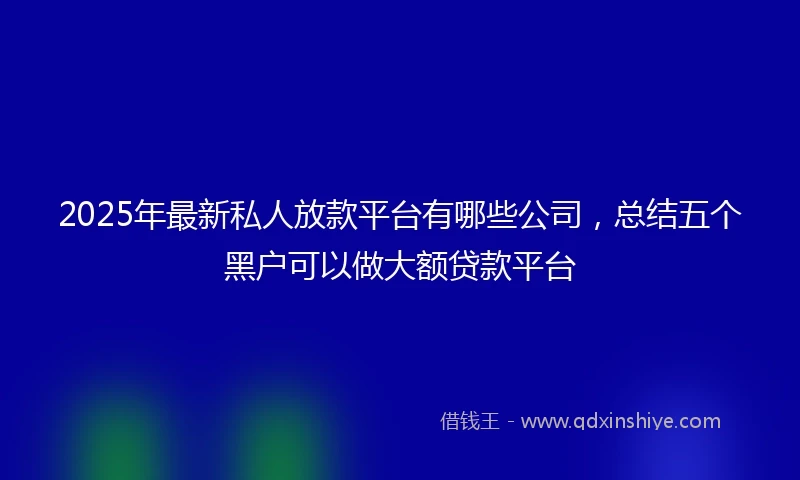 2025年最新私人放款平台有哪些公司，总结五个黑户可以做大额贷款平台