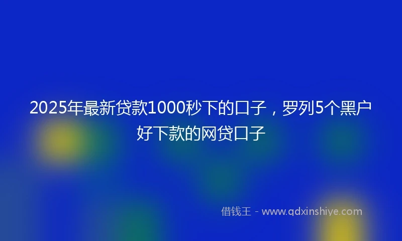 2025年最新贷款1000秒下的口子，罗列5个黑户好下款的网贷口子