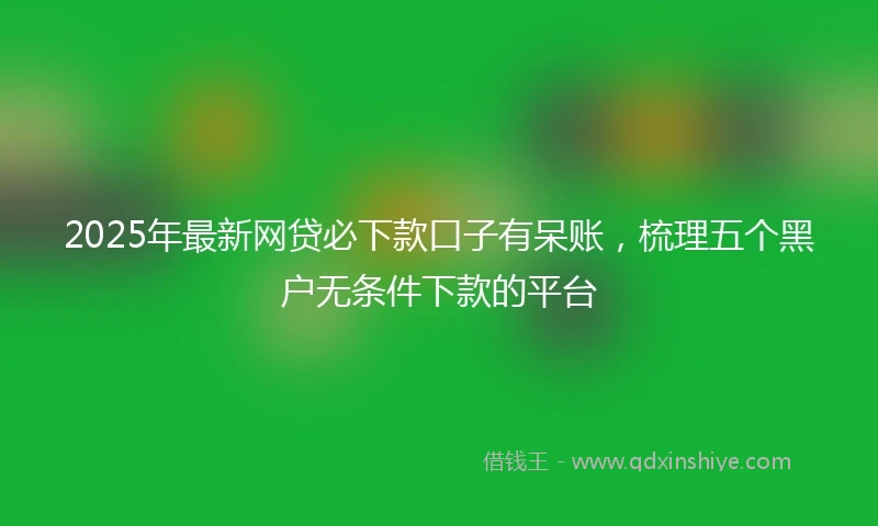 2025年最新网贷必下款口子有呆账，梳理五个黑户无条件下款的平台