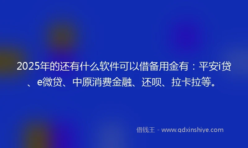 2025年的还有什么软件可以借备用金有：平安i贷、e微贷、中原消费金融、还呗、拉卡拉等。