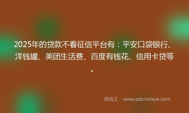 2025年的贷款不看征信平台有:平安口袋银行、洋钱罐、美团生活费、百度有钱花、信用卡贷等。