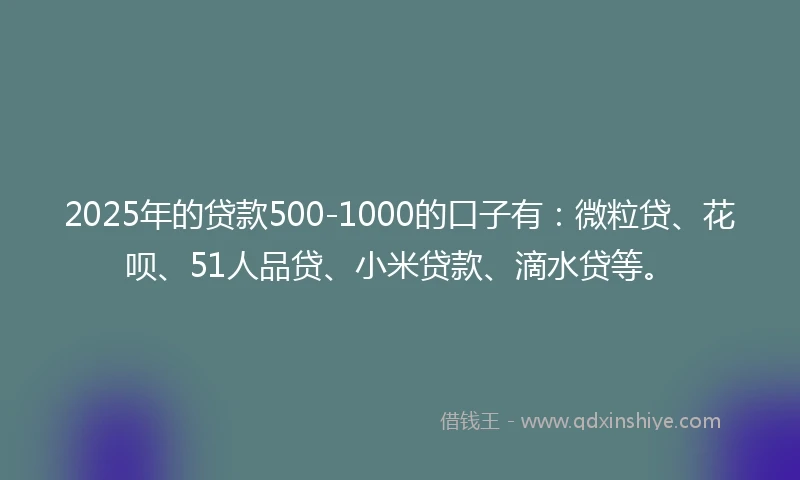 2025年的贷款500-1000的口子有：微粒贷、花呗、51人品贷、小米贷款、滴水贷等。