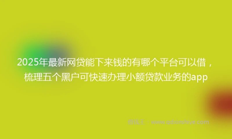 2025年最新网贷能下来钱的有哪个平台可以借，梳理五个黑户可快速办理小额贷款业务的app