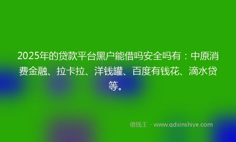 2025年的贷款平台黑户能借吗安全吗有：中原消费金融、拉卡拉、洋钱罐、百度有钱花、滴水贷等。