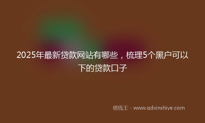 2025年最新贷款网站有哪些，梳理5个黑户可以下的贷款口子