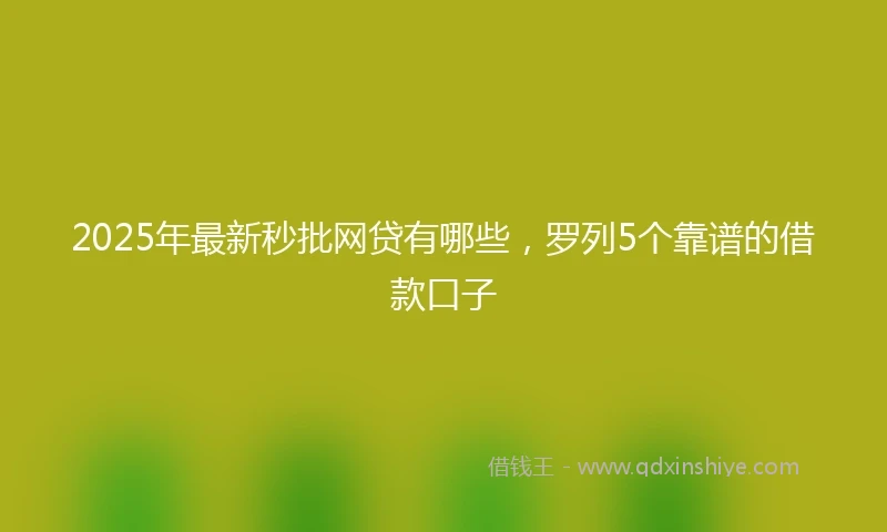 2025年最新秒批网贷有哪些，罗列5个靠谱的借款口子
