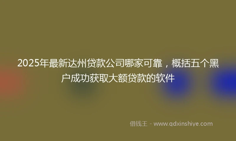 2025年最新达州贷款公司哪家可靠，概括五个黑户成功获取大额贷款的软件