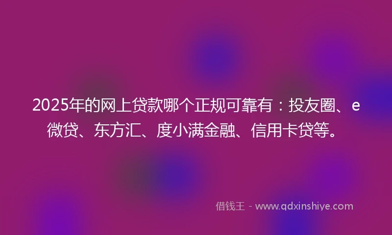 2025年的网上贷款哪个正规可靠有：投友圈、e微贷、东方汇、度小满金融、信用卡贷等。