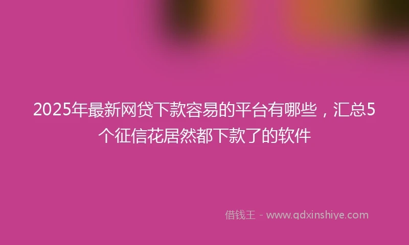 2025年最新网贷下款容易的平台有哪些，汇总5个征信花居然都下款了的软件
