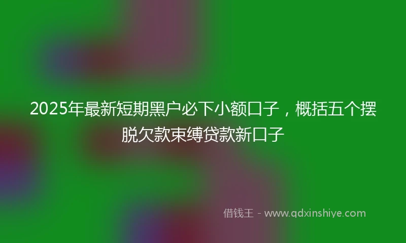 2025年最新短期黑户必下小额口子，概括五个摆脱欠款束缚贷款新口子